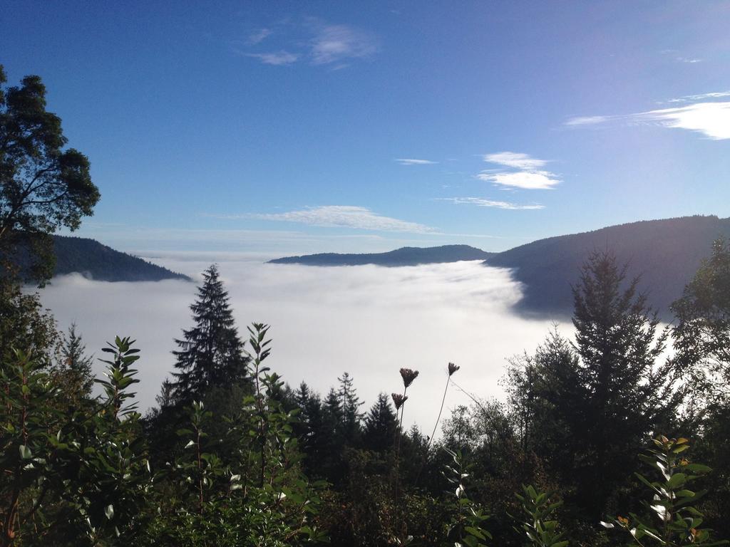 Moon Water Lodge Malahat Номер фото